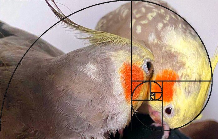    , , ,  , 