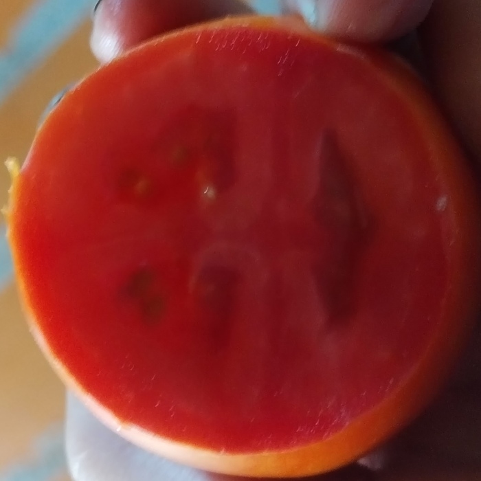        ,    ,   , , , ,   