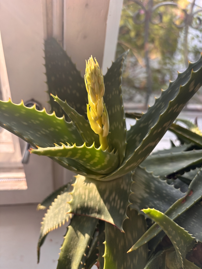 ���� ������!