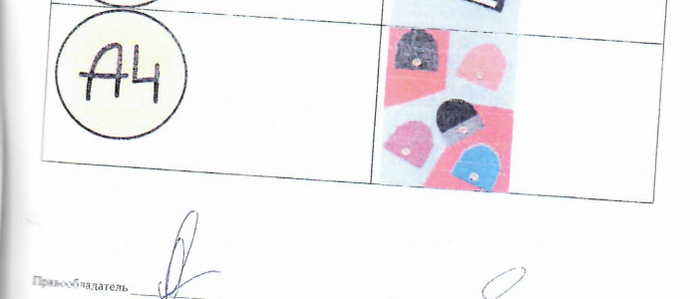 Рассмотреть сложно, но так выглядел дизайн шапок, на которые передавались права в договоре