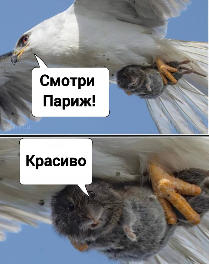   ! ) ,   , , , , , ,   ,  