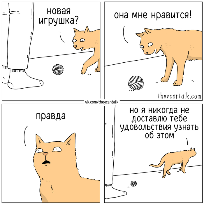 Новая игрушка