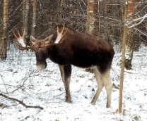 ����� ����� ������ �������� ������