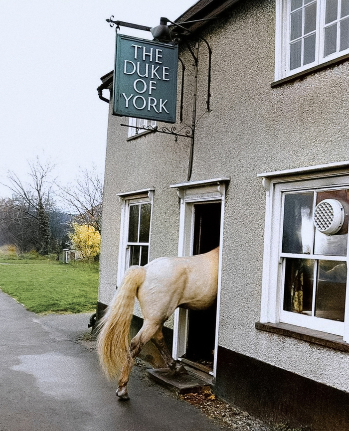 Фотограф: Джон Дрисдейл.