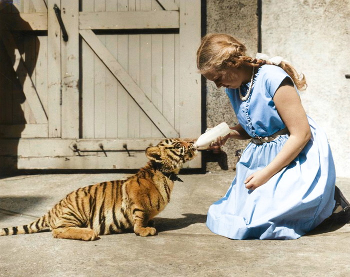 Фотограф: Уильям Вандерсон