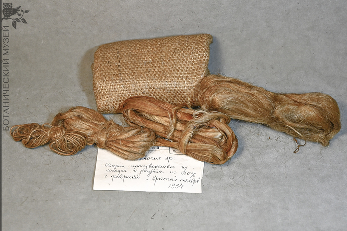       ,     , 1934 .      .