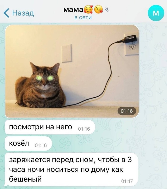   6/10 , , , , 