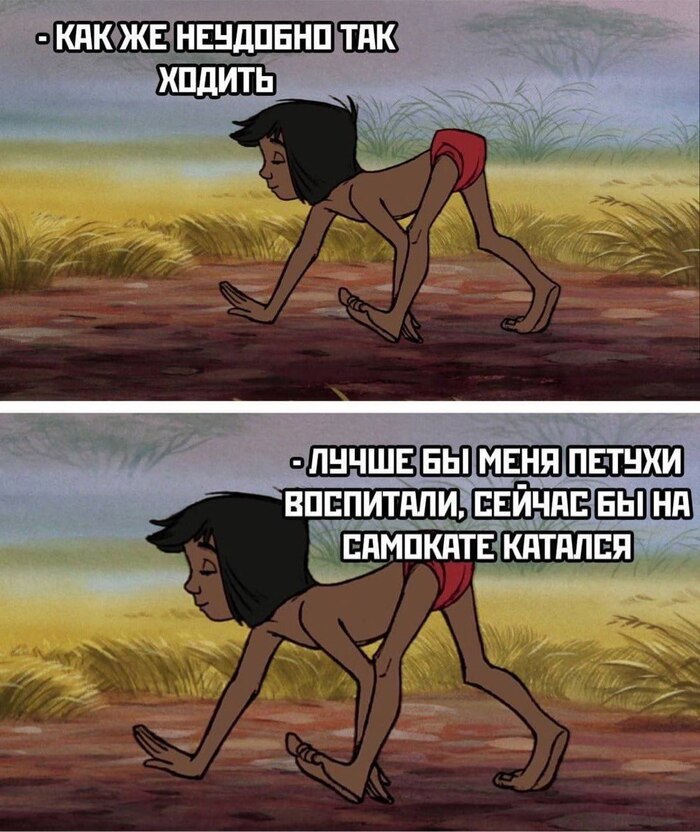   ,  ,   , , , , 