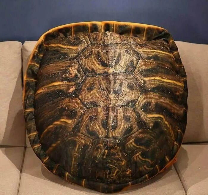    , ,  , 