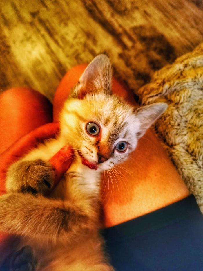        , , ,  