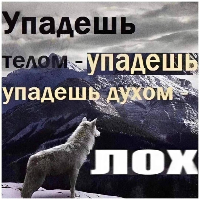     , , 