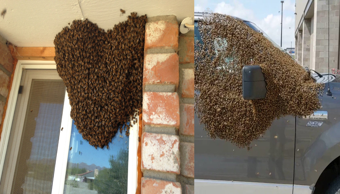 ,    .         ,    .