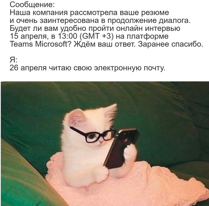   ))