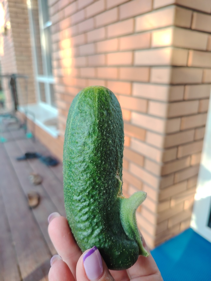   , , , 