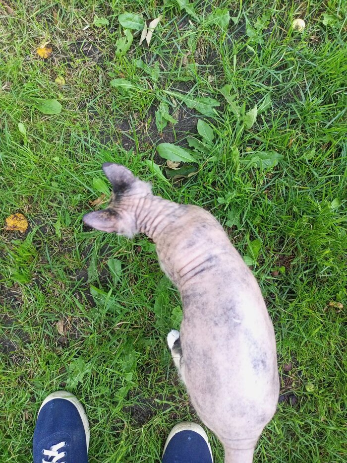 У Хтони вновь появились складочки. Хотя мешочек на пузе еще ого-го.