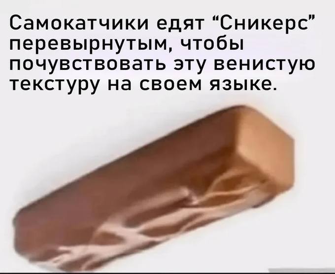 +1      , , Telegram (),  , , 
