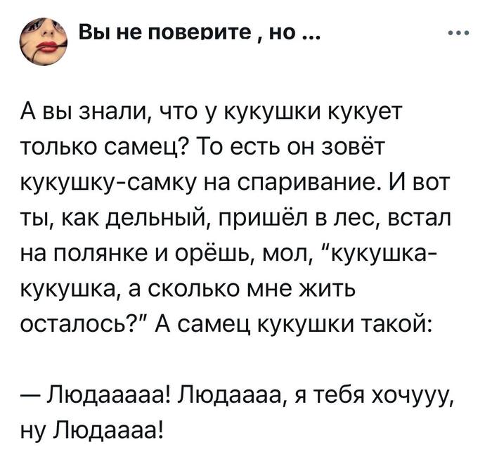          , , , Telegram (), X (Twitter), , 