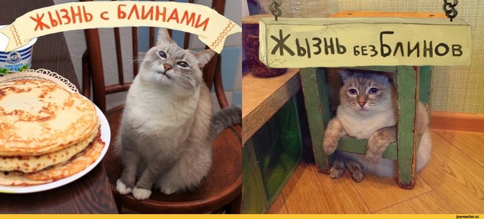 Мужчина и курица