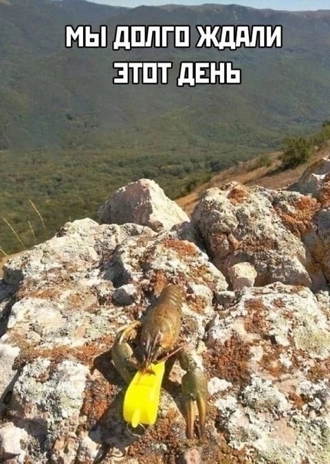  , ,   ,     