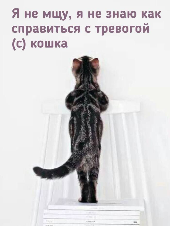 «Она мстит, потому что нас не было дома» (с)— нет, она тревожится