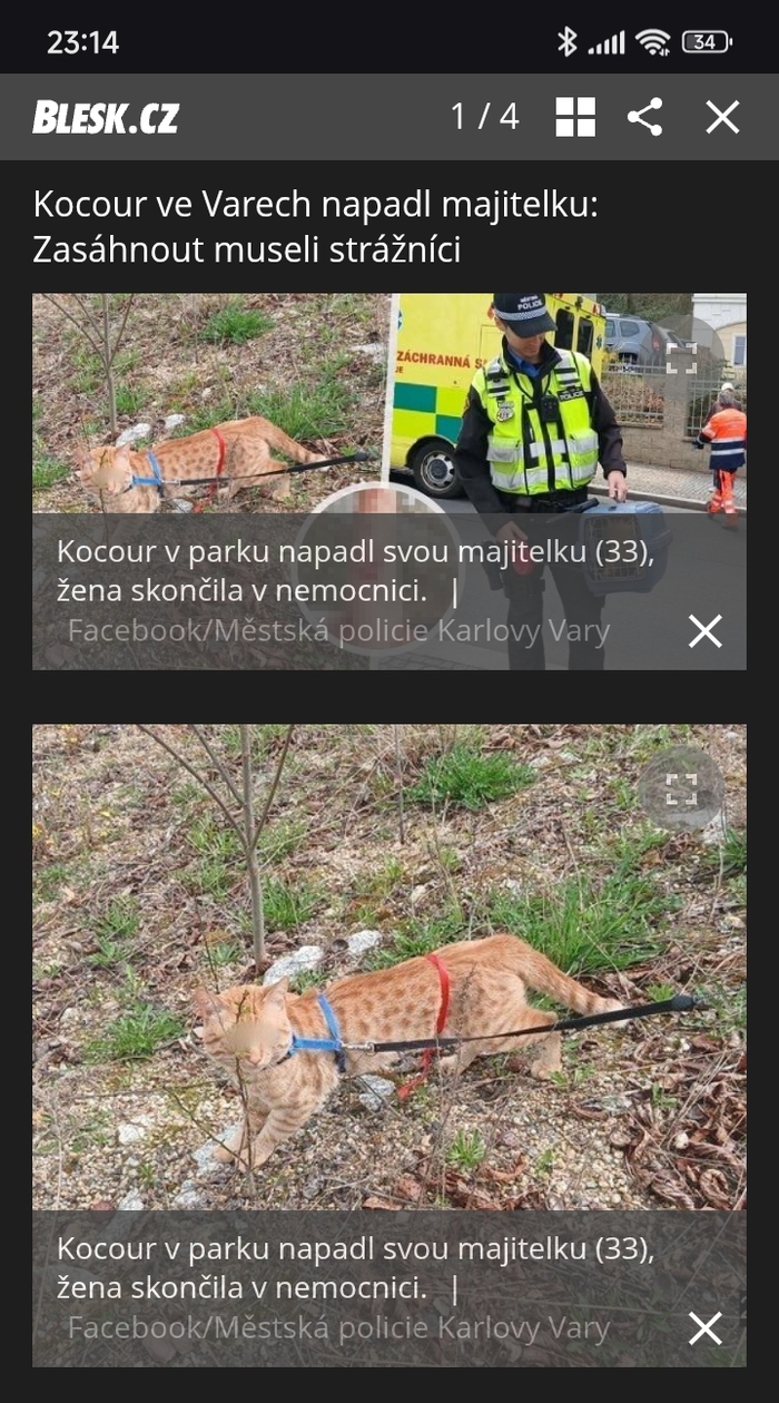      , , , , , , ,   