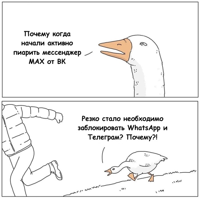    , WhatsApp, Telegram,  MAX, , , Telegram (), , , , Theycantalk