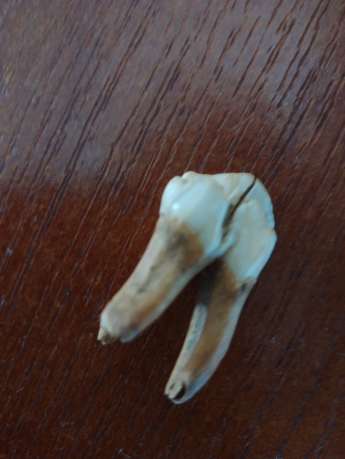 ��� �����