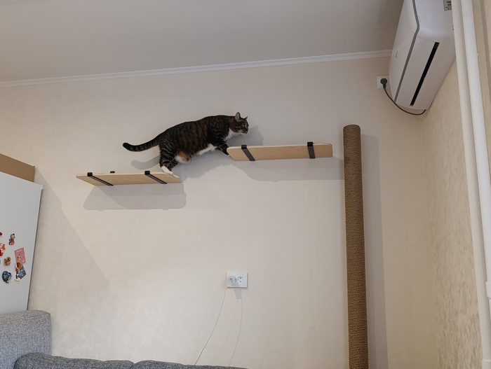 Василий осваивает новые вершины