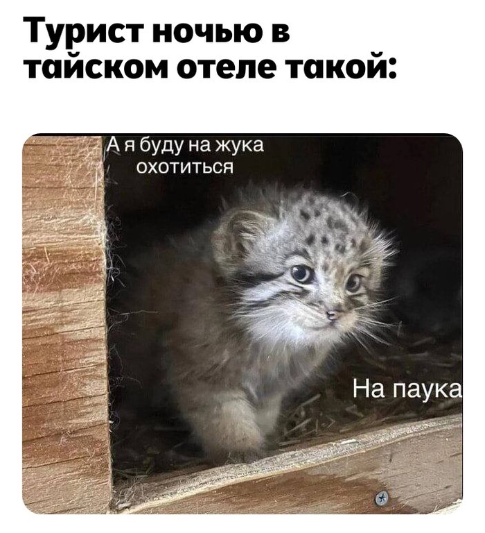        , , 