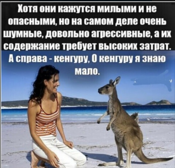 Если содержание требует чрезмерных затрат, найти более подходящие варианты.