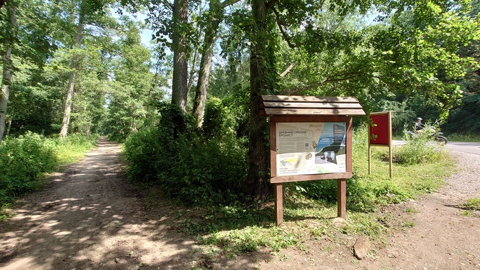 Покатушка на "Ашане" По Куршской косе