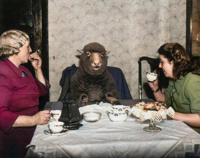 Подборка фотографий из прошлого, которые заставляют удивиться. 20 раскрашенных фотографий из XIX-ХХ века. Часть 20 Историческое фото, Фотография, Старое фото, 20 век, Колоризация, Длиннопост