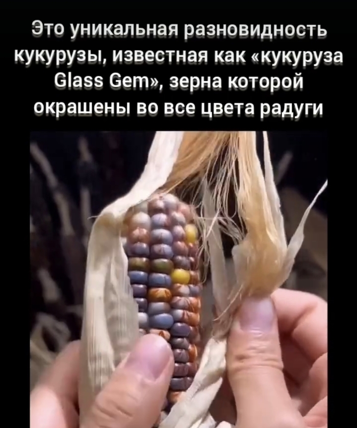      , ,  ,  , , , , , , , , , 