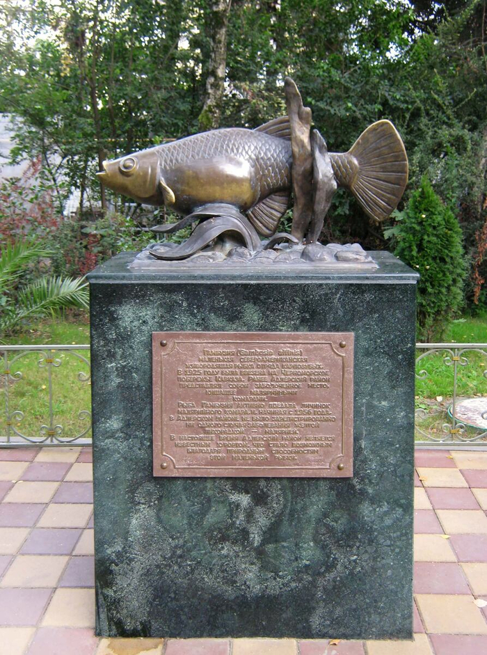 Памятник <a href="https://pikabu.ru/story/malyariynyiy_komar_vsyo_chto_nado_znat_chtobyi_ne_boyatsya_i_navsegda_zakryit_yetu_temu_12981395?u=https%3A%2F%2Fpikabu.ru%2Fstory%2Fgambuziya_ryiba_kotoraya_pobedila_malyariyu_v_rossii_i_prevratila_sochi_v_kurort_12701921%3Futm_source%3Dlinkshare%26utm_medium%3Dsharing&t=%D0%B3%D0%B0%D0%BC%D0%B1%D1%83%D0%B7%D0%B8%D0%B8&h=188cce318018e5c6317bedb06c8bcf4df6ed6fa9" title="https://pikabu.ru/story/gambuziya_ryiba_kotoraya_pobedila_malyariyu_v_rossii_i_prevratila_sochi_v_ku..." target="_blank" >гамбузии</a> в Адлере. Именно благодаря маленькой рыбки этот регион стал курортным.