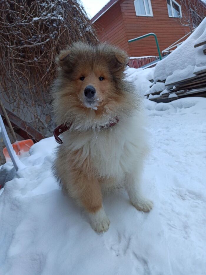 Всем здрасти