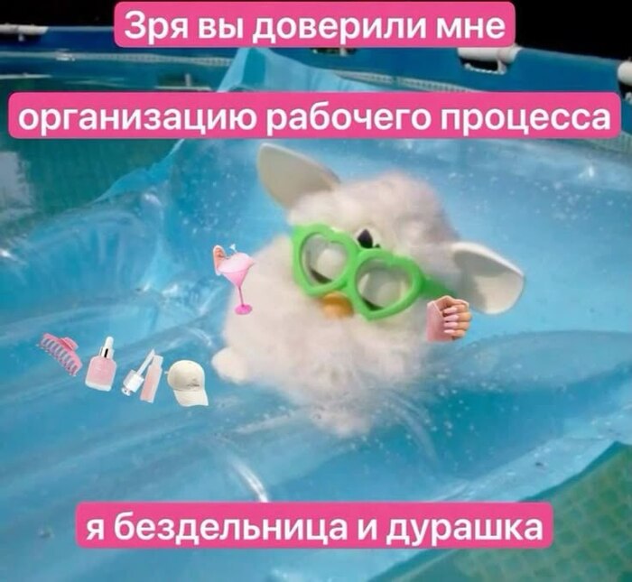         , , , ,   , 