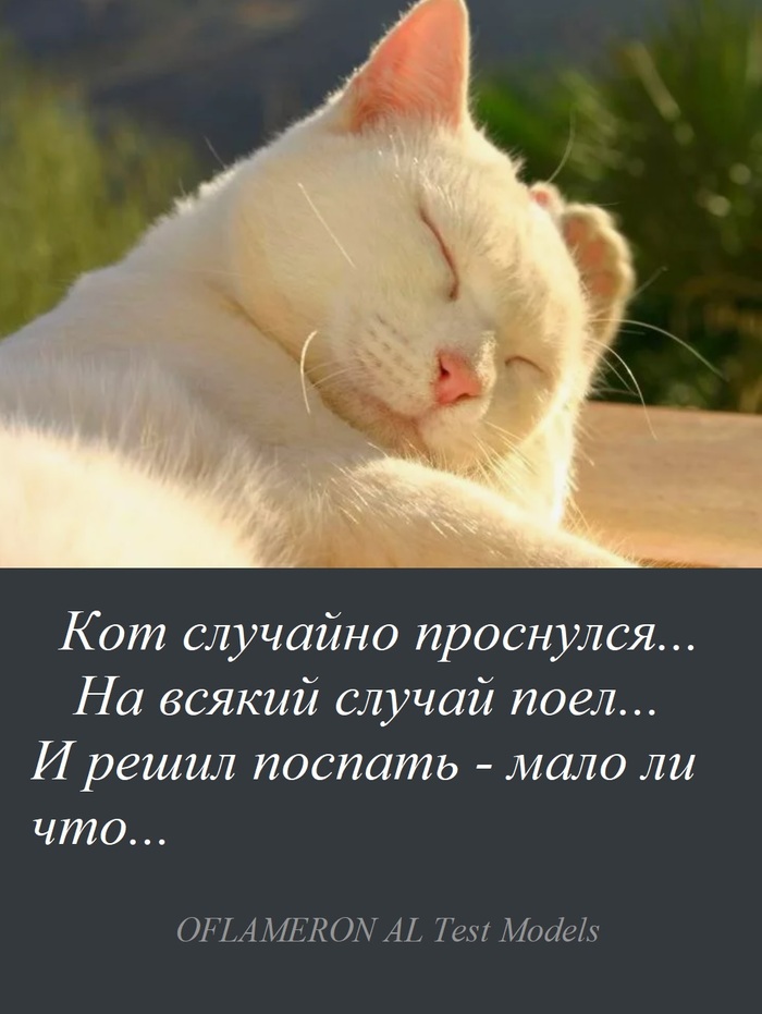    ,   , , , , , , 