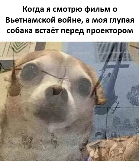 ���� ���!