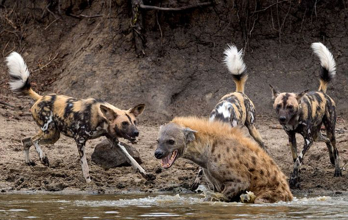 � ��� ���� ��� ��� ��� ������������� � ������� �� ����� �� ���������