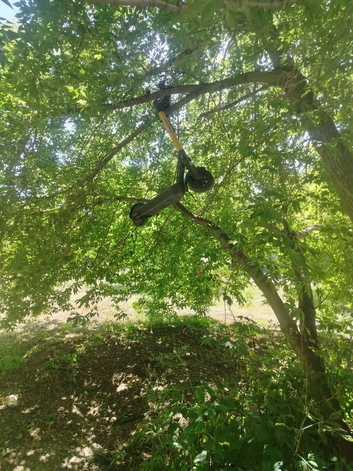   ?