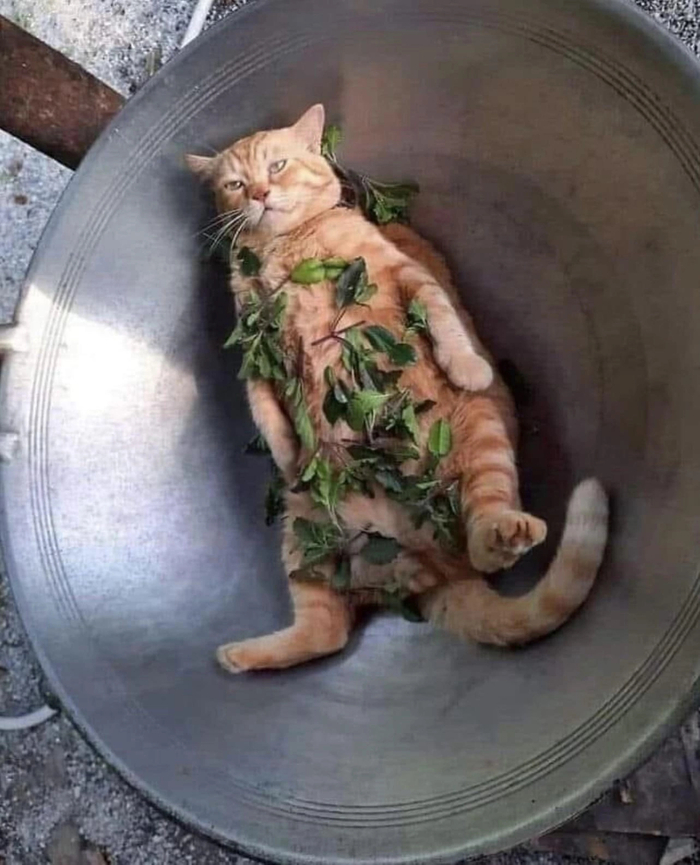 ,   , ,  