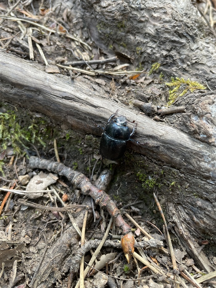 ����� ����� ���� ���������� ��� ������� �����. ����� � ����������� ���� +29