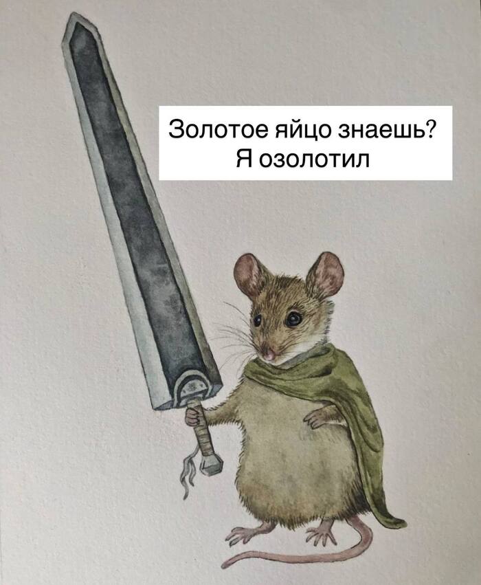  ?  ! ,  , , , , ,   , , 
