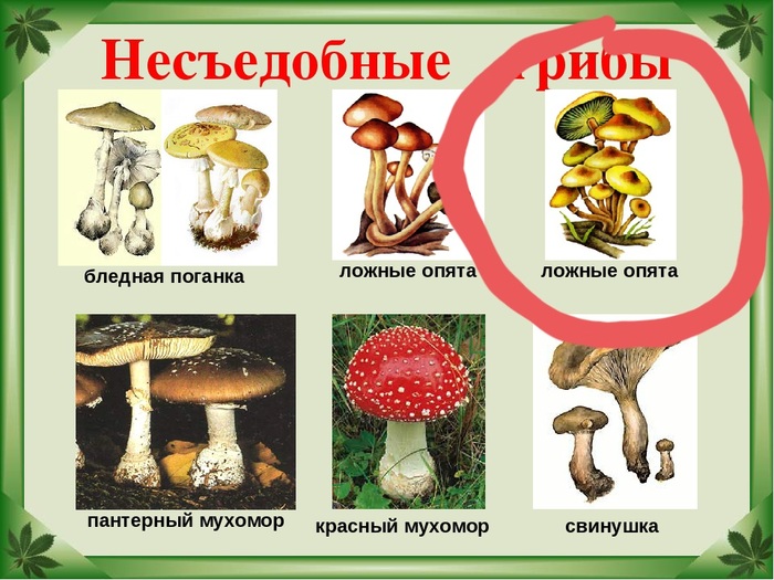     ,  ,  , 