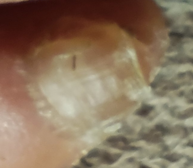   ,  ,  , , , , , 