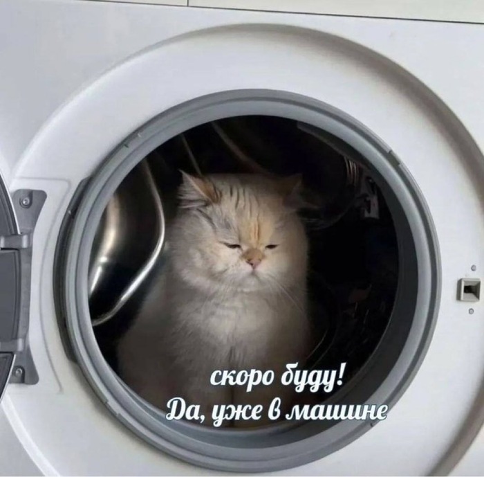       ,   , , , ,  ,  , ,  , , RUTUBE
