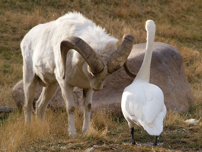 Вечное внутреннее противостояние: саморазвитие, спорт и режим против прокрастинации в телефоне до трёх ночи.