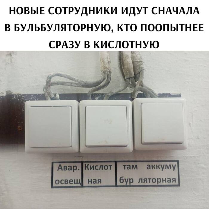    ,    ,   , , ,  , Telegram ()