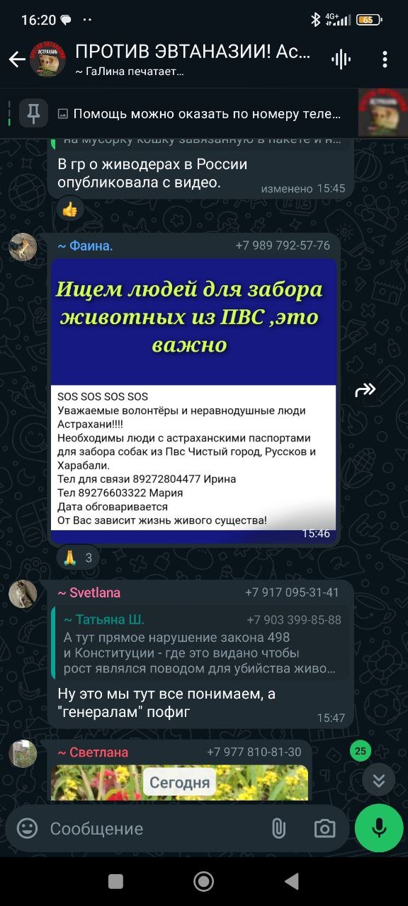         :          , ,  , , , ,  ,  ,   , ,  