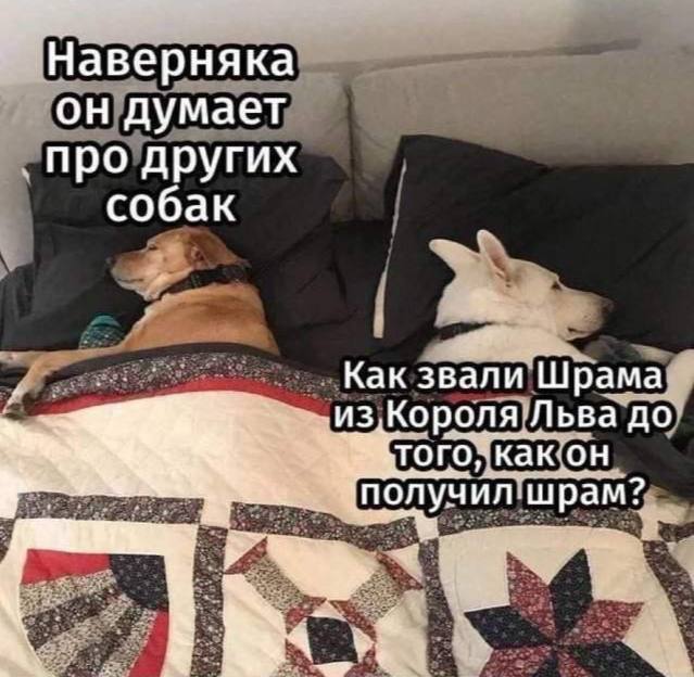     ,   , ,  , , Telegram ()